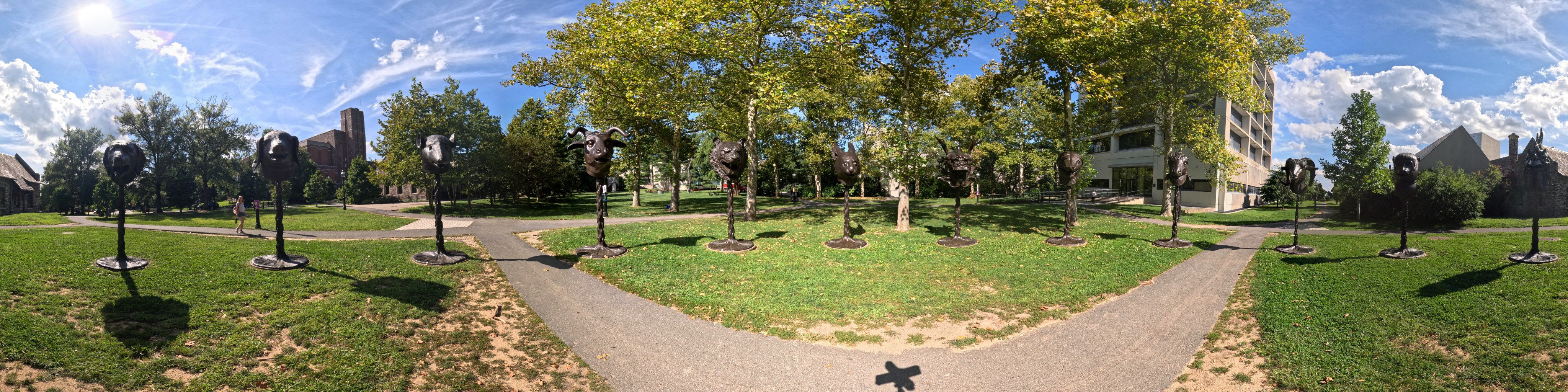 360° RGB, single shot
